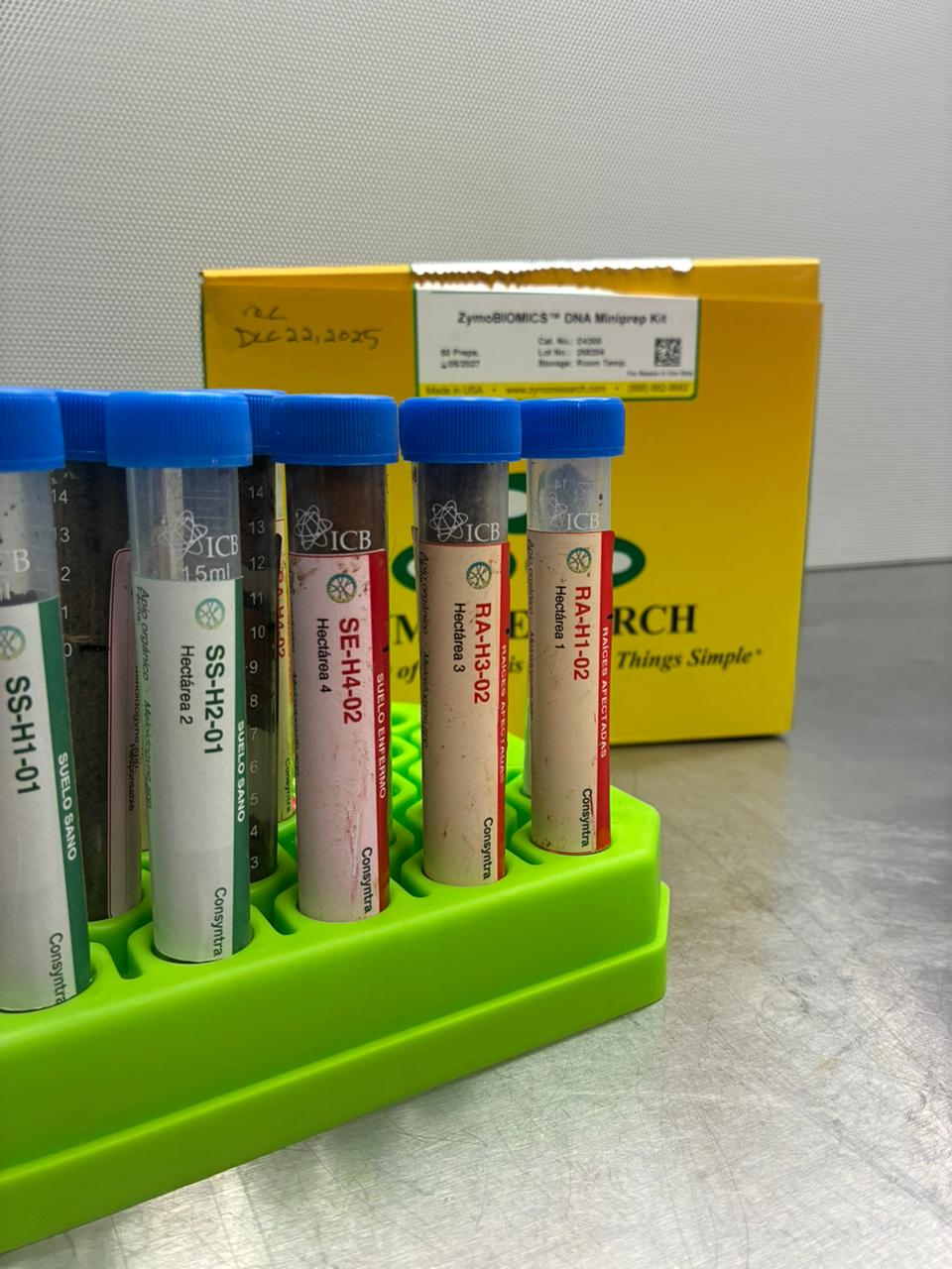 Muestras de suelo y raíces procesadas en laboratorio Consyntra